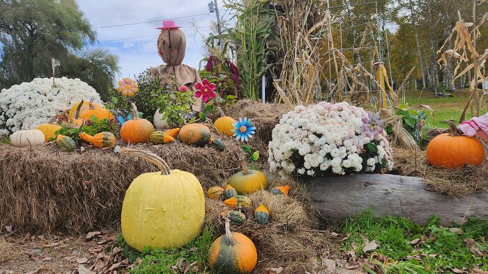I Captured Our Festive Neighbor’s Decorations For Halloween