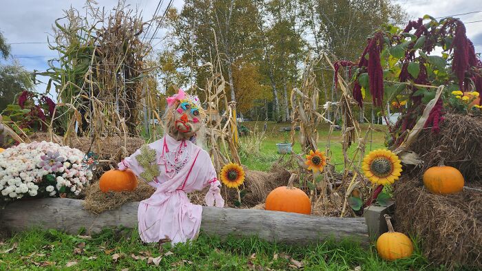I Captured Our Festive Neighbor’s Decorations For Halloween