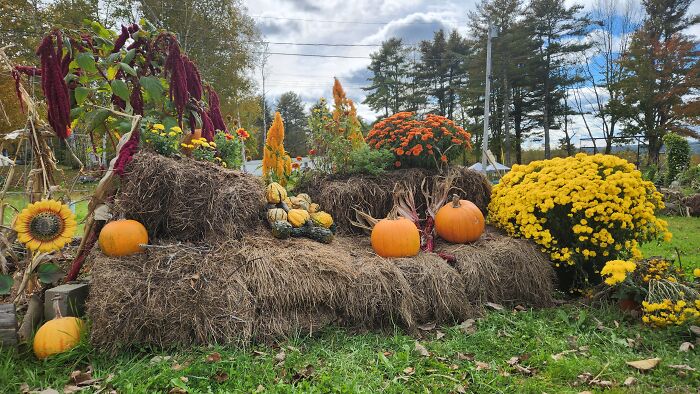I Captured Our Festive Neighbor’s Decorations For Halloween