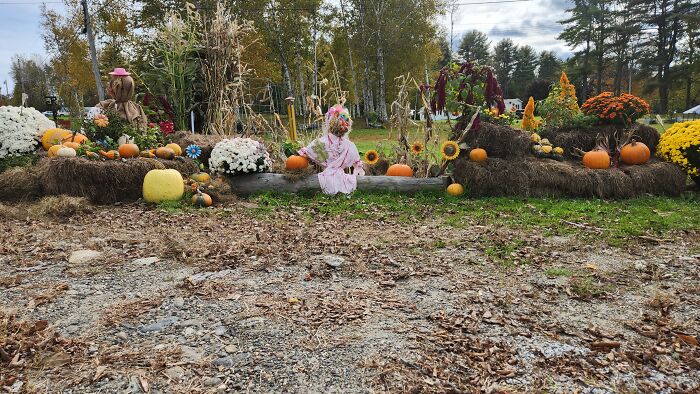 I Captured Our Festive Neighbor’s Decorations For Halloween