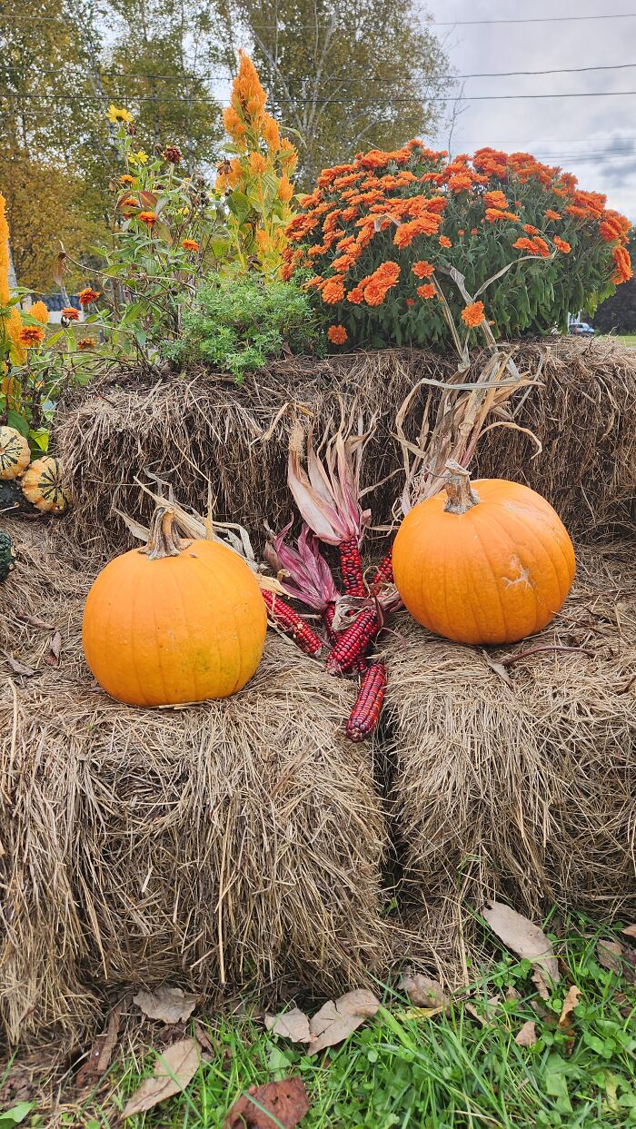 I Captured Our Festive Neighbor’s Decorations For Halloween