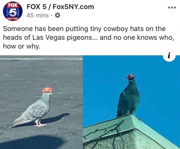 50 Epic Moments When People Spotted Someone Or Something Reach ‘Boss’ Level (New Pics) 50 Epic Moments When People Spotted Someone Or Something Reach ‘Boss’ Level (New Pics)