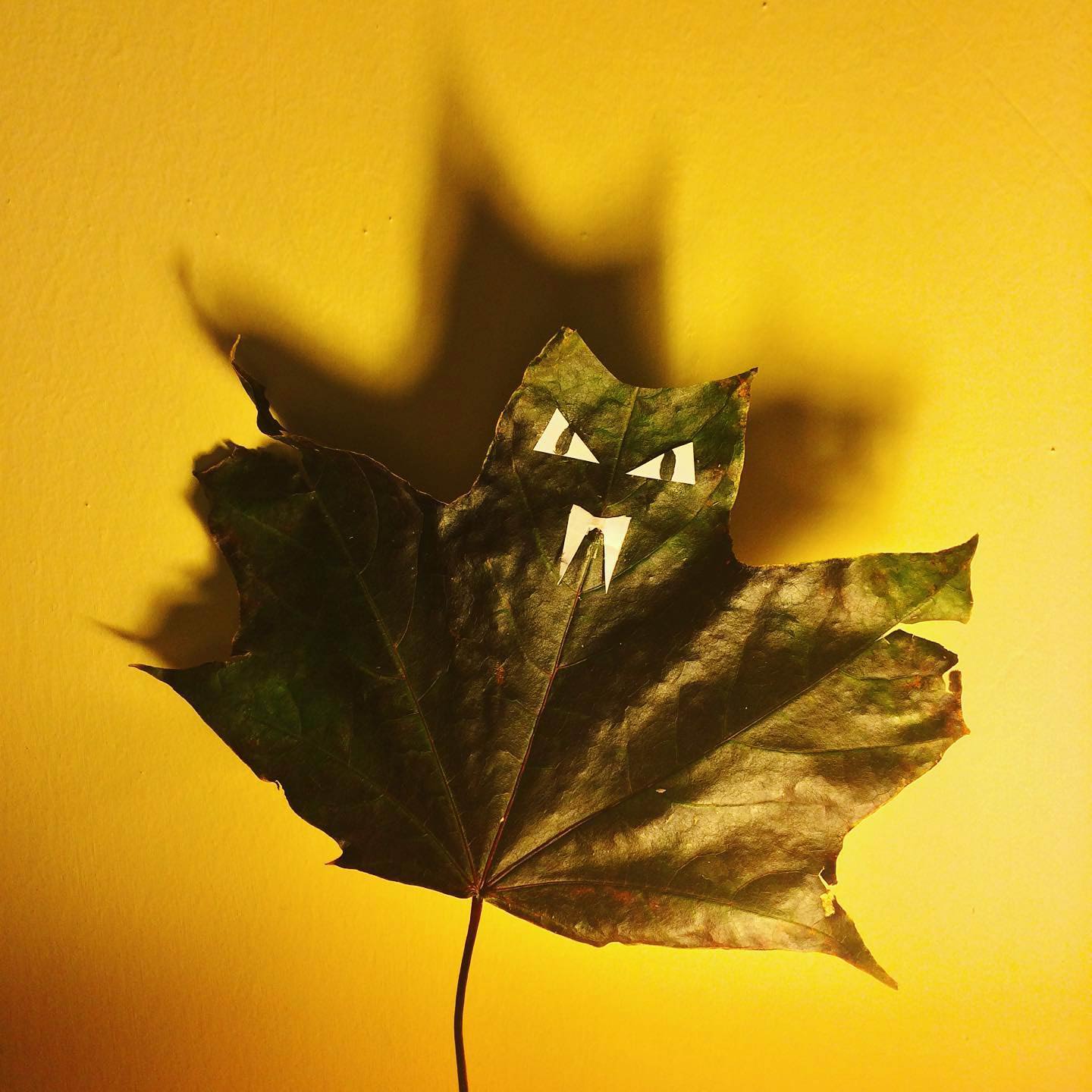 Halloween Decor: 68 DIY & Chillingly Chic Ideas for a Hellish Haven Halloween Decor: 68 DIY & Chillingly Chic Ideas for a Hellish Haven