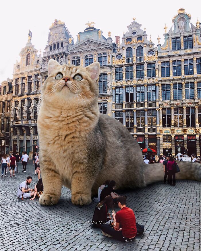 30 Adorably Unsettling Art Pieces That Show Giant Cats Ruling The World, As Imagined By This Artist