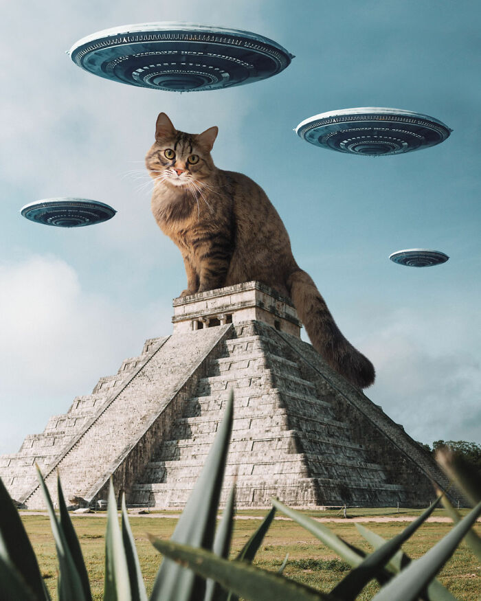 30 Adorably Unsettling Art Pieces That Show Giant Cats Ruling The World, As Imagined By This Artist