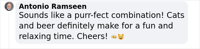 Man Opens A Pub, Starts Taking Stray Kitties In And Ends Up With Bristol’s First Cat Pub Man Opens A Pub, Starts Taking Stray Kitties In And Ends Up With Bristol’s First Cat Pub