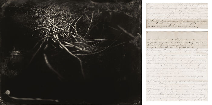 I Retraced Oregon’s Trail Of Tears And Photographed It With The Same Process Used In The 1850’s I Retraced Oregon’s Trail Of Tears And Photographed It With The Same Process Used In The 1850’s