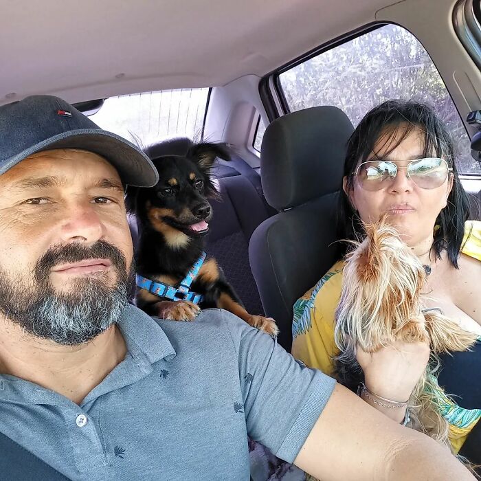 This Man Rescues Dogs In His Area And Decided To Build A Pool For The 27 He Has In His Care This Man Rescues Dogs In His Area And Decided To Build A Pool For The 27 He Has In His Care