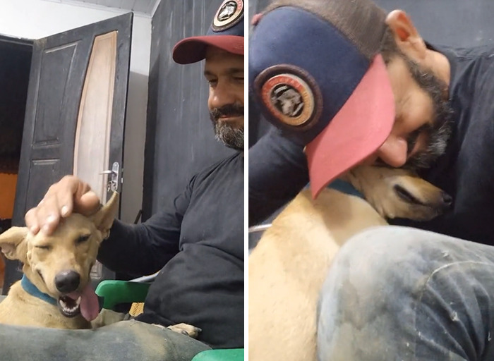 This Man Rescues Dogs In His Area And Decided To Build A Pool For The 27 He Has In His Care This Man Rescues Dogs In His Area And Decided To Build A Pool For The 27 He Has In His Care