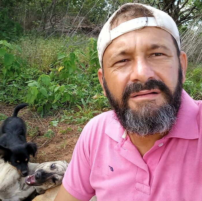 This Man Rescues Dogs In His Area And Decided To Build A Pool For The 27 He Has In His Care This Man Rescues Dogs In His Area And Decided To Build A Pool For The 27 He Has In His Care