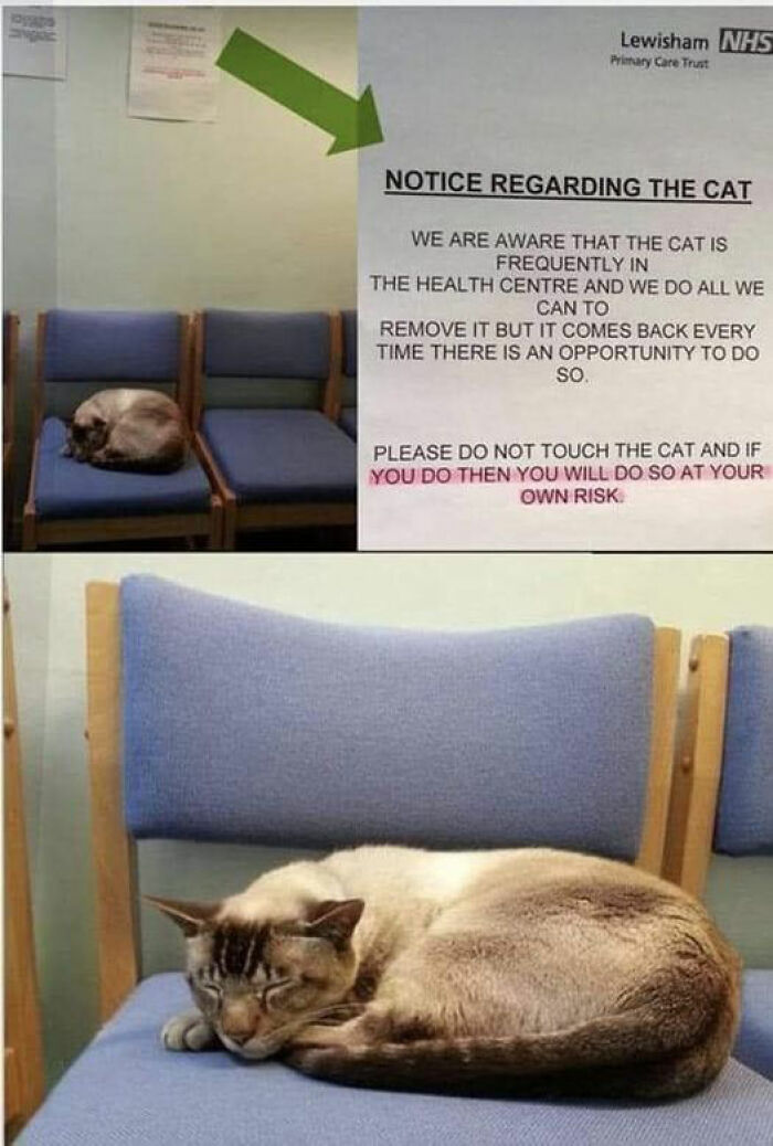 48 Chaotically Funny Signs That People Have Discovered In The Wild 48 Chaotically Funny Signs That People Have Discovered In The Wild