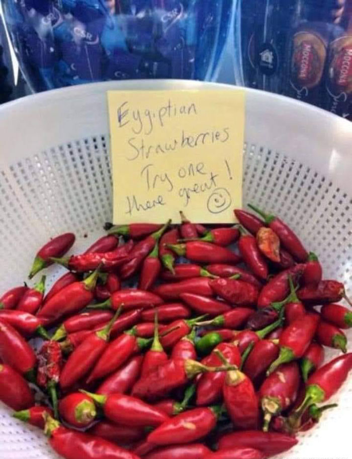 48 Chaotically Funny Signs That People Have Discovered In The Wild 48 Chaotically Funny Signs That People Have Discovered In The Wild