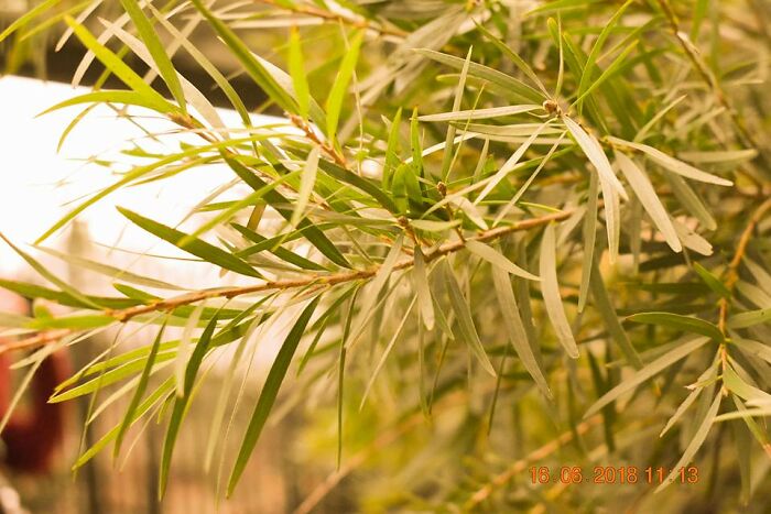 Hey Pandas, Share A Picture That Always Inspires You (Closed)