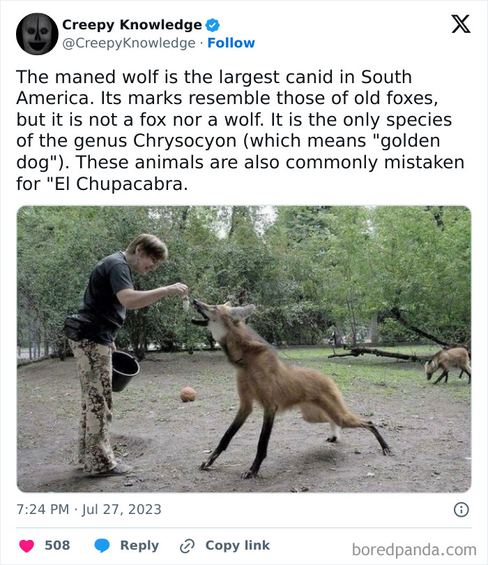 ‘Creepy Knowledge’: 45 Facts To Scroll Through In The Darkness ‘Creepy Knowledge’: 45 Facts To Scroll Through In The Darkness