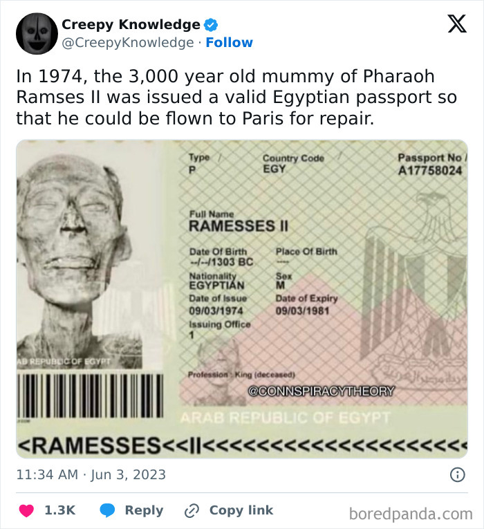 ‘Creepy Knowledge’: 45 Facts To Scroll Through In The Darkness ‘Creepy Knowledge’: 45 Facts To Scroll Through In The Darkness