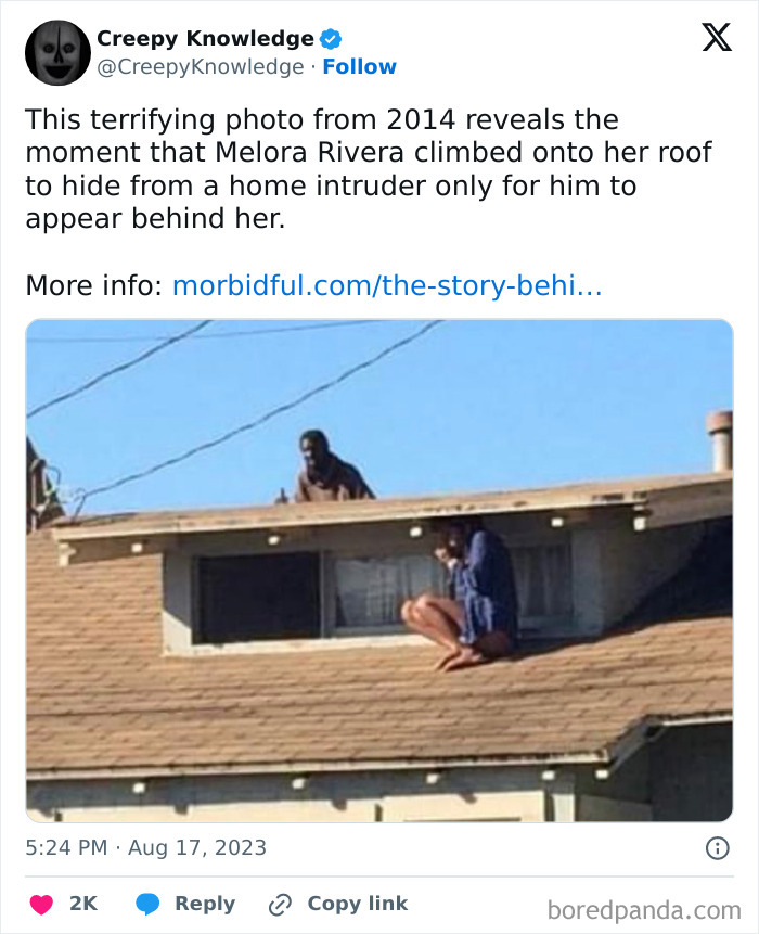 ‘Creepy Knowledge’: 45 Facts To Scroll Through In The Darkness ‘Creepy Knowledge’: 45 Facts To Scroll Through In The Darkness