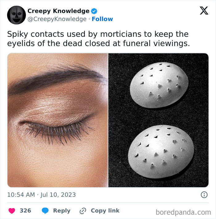 ‘Creepy Knowledge’: 45 Facts To Scroll Through In The Darkness ‘Creepy Knowledge’: 45 Facts To Scroll Through In The Darkness