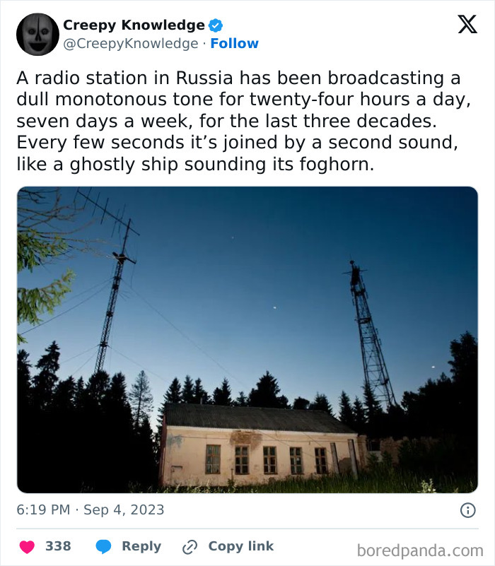 ‘Creepy Knowledge’: 45 Facts To Scroll Through In The Darkness ‘Creepy Knowledge’: 45 Facts To Scroll Through In The Darkness