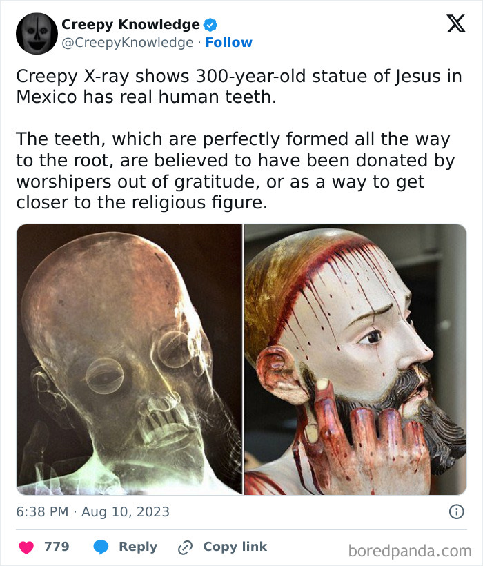 ‘Creepy Knowledge’: 45 Facts To Scroll Through In The Darkness ‘Creepy Knowledge’: 45 Facts To Scroll Through In The Darkness