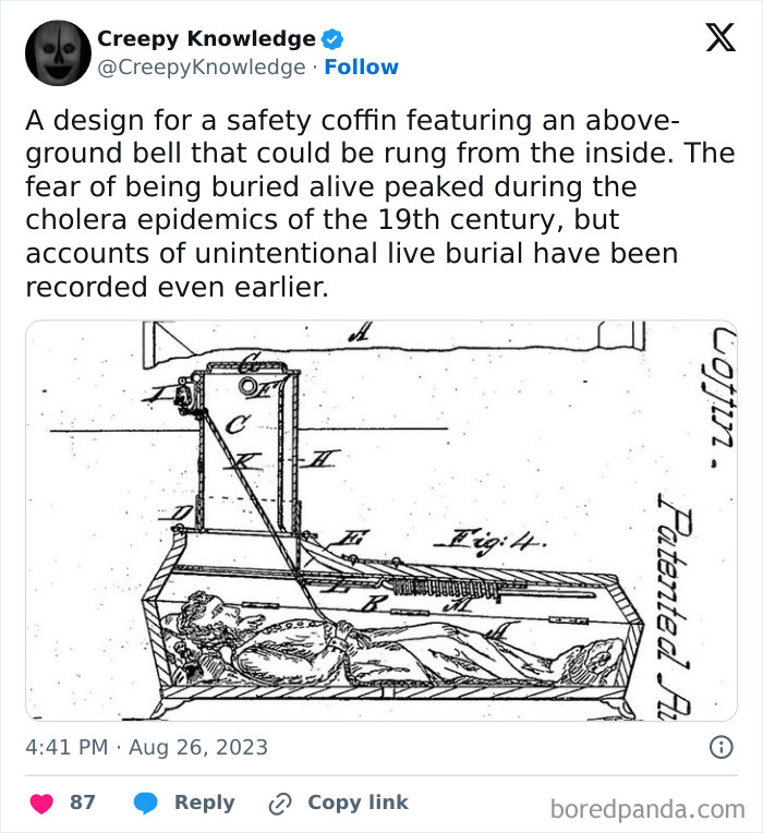 ‘Creepy Knowledge’: 45 Facts To Scroll Through In The Darkness ‘Creepy Knowledge’: 45 Facts To Scroll Through In The Darkness