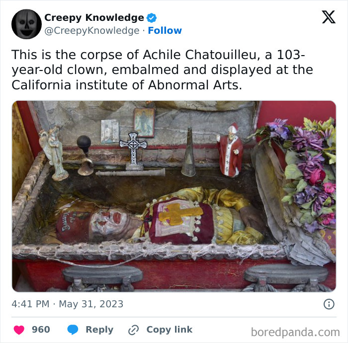 ‘Creepy Knowledge’: 45 Facts To Scroll Through In The Darkness ‘Creepy Knowledge’: 45 Facts To Scroll Through In The Darkness