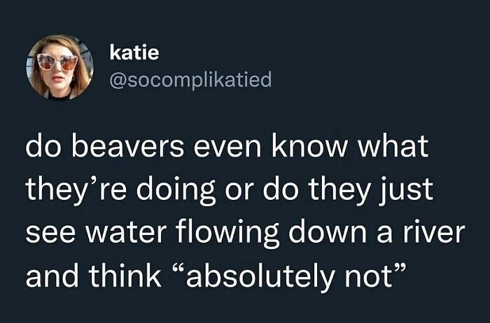 50 Innocent Jokes That Are Still Funny, As Shared On This Instagram Page 50 Innocent Jokes That Are Still Funny, As Shared On This Instagram Page