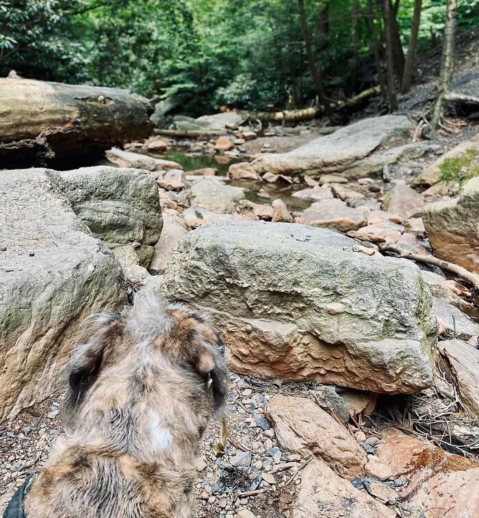 50 Things That Matched Their Surroundings So Well, They Made People Do A Double Take (New Pics) 50 Things That Matched Their Surroundings So Well, They Made People Do A Double Take (New Pics)