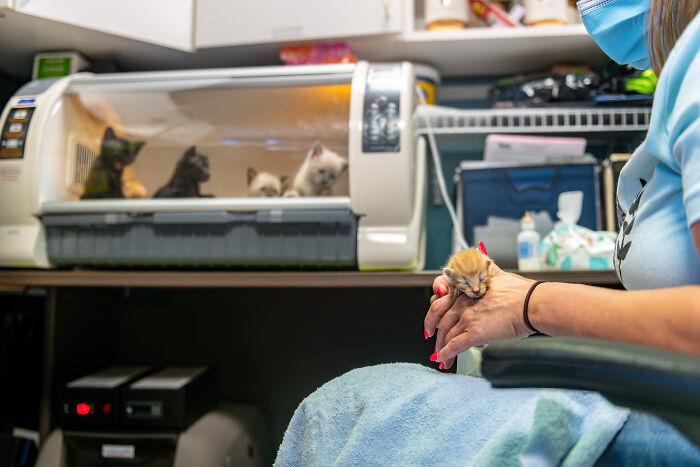 International Pet Photographer Of The Year Awards: 50 Best Images Of 2023 International Pet Photographer Of The Year Awards: 50 Best Images Of 2023