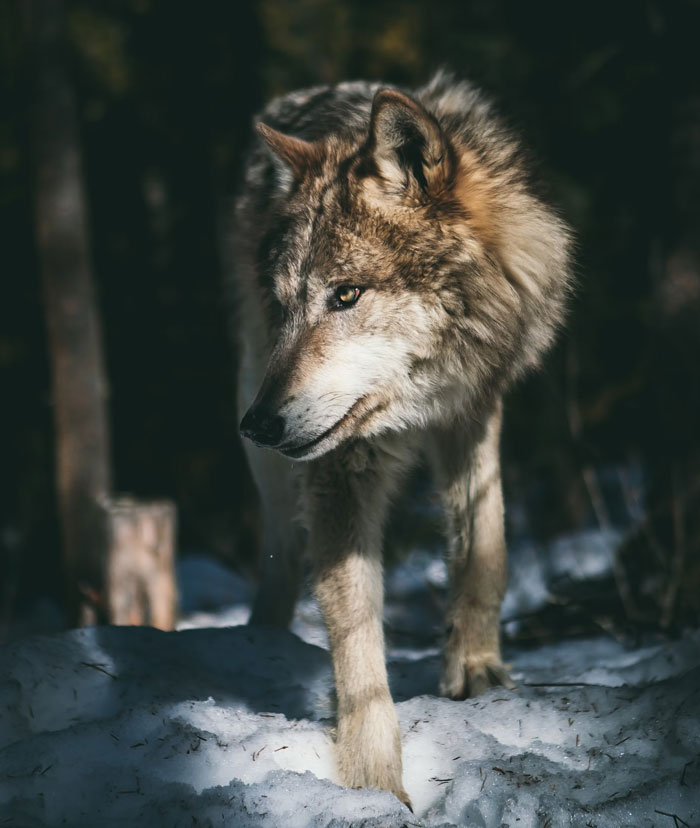 29 Solid Facts That Some People Flat-Out Refuse To Accept 29 Solid Facts That Some People Flat-Out Refuse To Accept