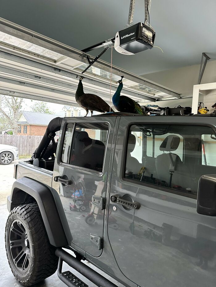 35 Pics Of Neighbors From Hell Who Got Shamed On This Online Community 35 Pics Of Neighbors From Hell Who Got Shamed On This Online Community