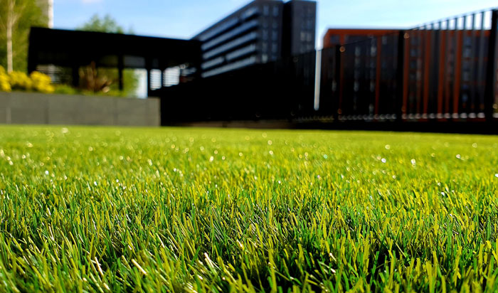 Game-changing Lawn Care Tips & Tricks for Lawn Maintenance Game-changing Lawn Care Tips & Tricks for Lawn Maintenance