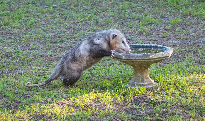 30 Misconceptions About Pretty Safe Things, Despite Most Saying They’re Dangerous 30 Misconceptions About Pretty Safe Things, Despite Most Saying They’re Dangerous