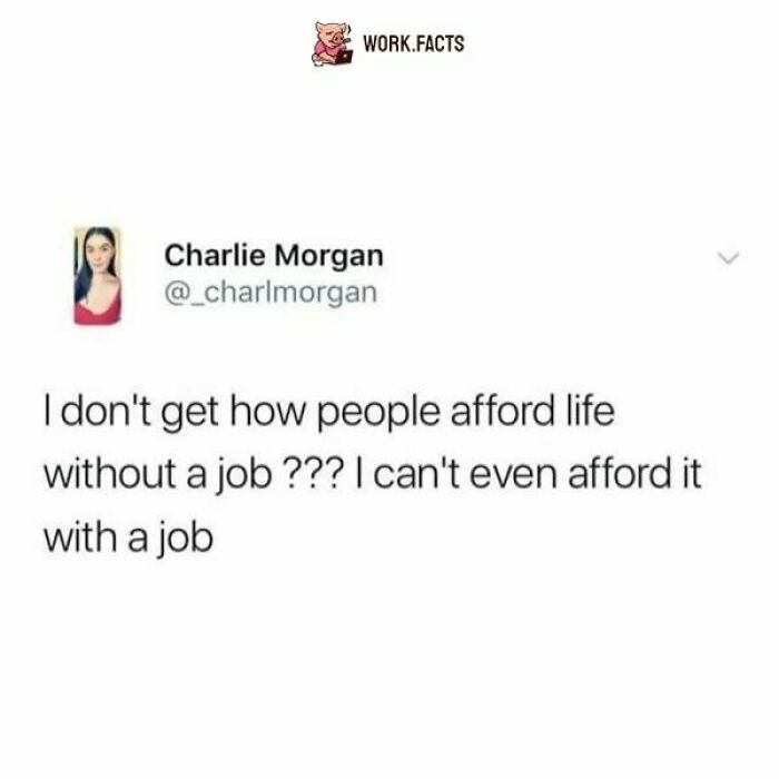 50 Funny Memes To Help You Get Through The Work Day 50 Funny Memes To Help You Get Through The Work Day