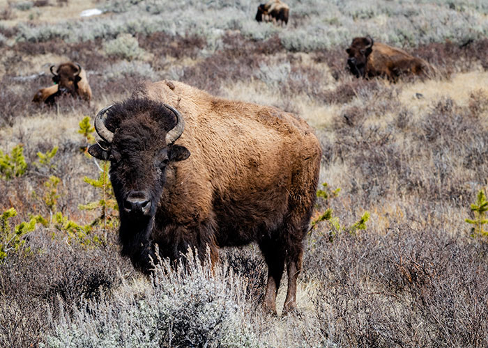 Americans Recommend Foreign Visitors Avoid These 45 Things When They’re Traveling The Country Americans Recommend Foreign Visitors Avoid These 45 Things When They’re Traveling The Country