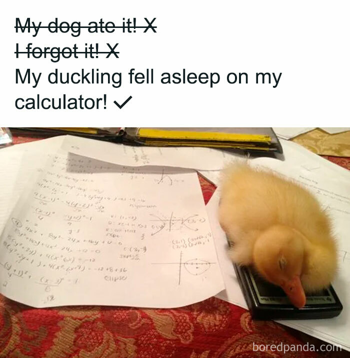 50 Clever Science Memes That Have Been Scientifically Proven To Cause Laughter