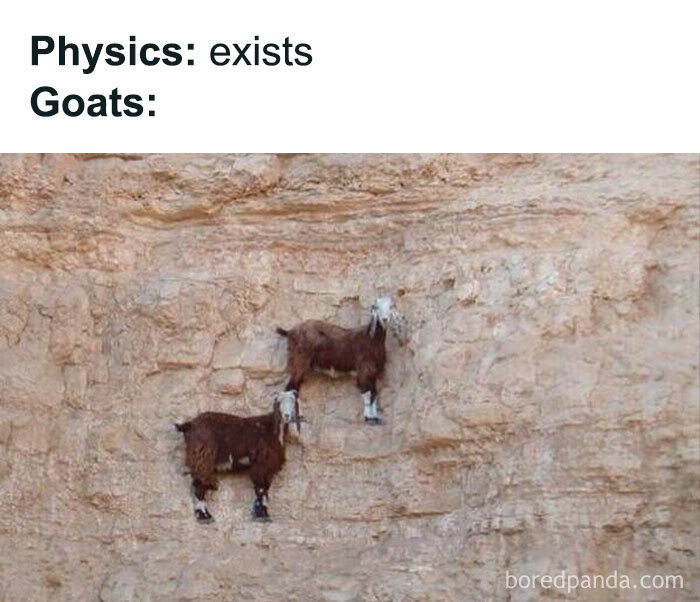 50 Clever Science Memes That Have Been Scientifically Proven To Cause Laughter