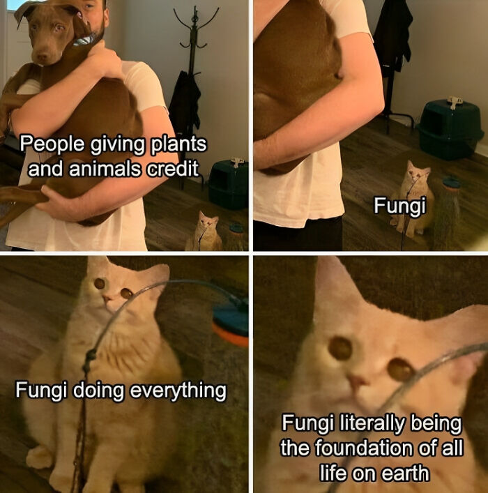 50 Clever Science Memes That Have Been Scientifically Proven To Cause Laughter