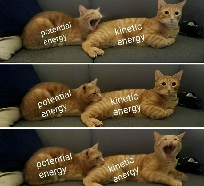 50 Clever Science Memes That Have Been Scientifically Proven To Cause Laughter