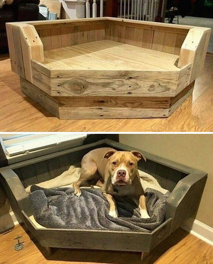 50 Works Of Wood That Are So Awesome, They Ended Up On The “Woodworking Ideas” Facebook Group (New Pics) 50 Works Of Wood That Are So Awesome, They Ended Up On The “Woodworking Ideas” Facebook Group (New Pics)