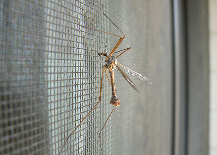 30 Biggest Cultural Shocks From Around The World Visitors Just Can’t Get Used To 30 Biggest Cultural Shocks From Around The World Visitors Just Can’t Get Used To