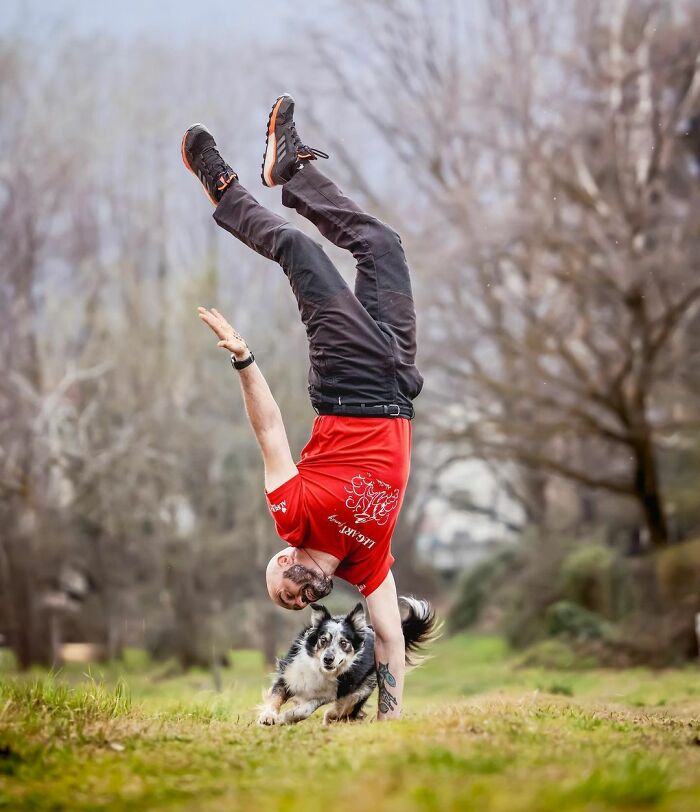 “I’ve Never Seen Anything Like It”: Dog Wins America’s Got Talent For The First Time Since 2012 “I’ve Never Seen Anything Like It”: Dog Wins America’s Got Talent For The First Time Since 2012