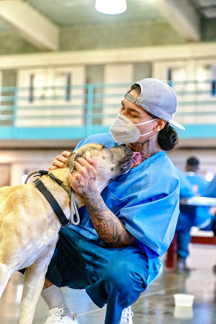 I Photographed Shelter Dogs In Training In A Maximum Security Prison