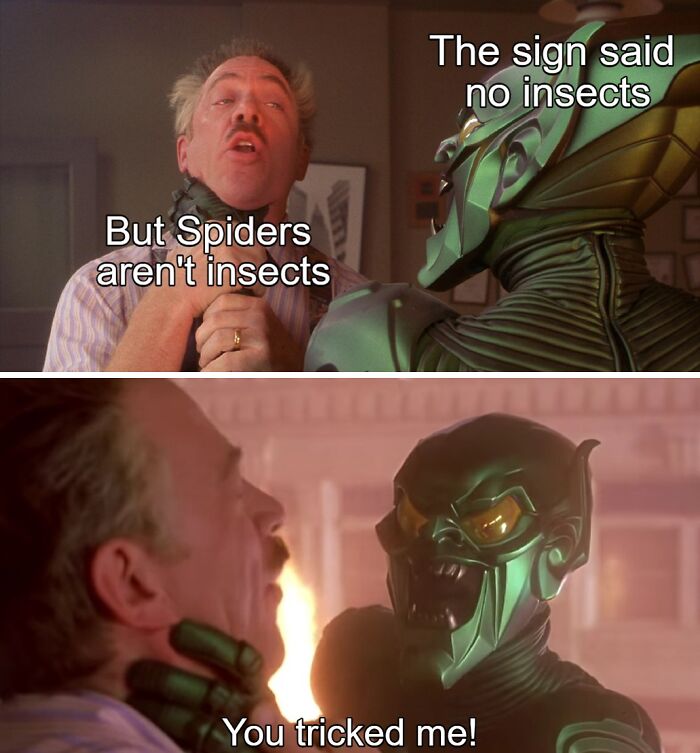 76 Spiderman Memes Even Non-Fans Might Like 76 Spiderman Memes Even Non-Fans Might Like