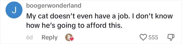 Cat Lovers Rejoice As New Medicine Will Extend Cat Lifespan To 30 Years Cat Lovers Rejoice As New Medicine Will Extend Cat Lifespan To 30 Years