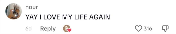 Cat Lovers Rejoice As New Medicine Will Extend Cat Lifespan To 30 Years Cat Lovers Rejoice As New Medicine Will Extend Cat Lifespan To 30 Years