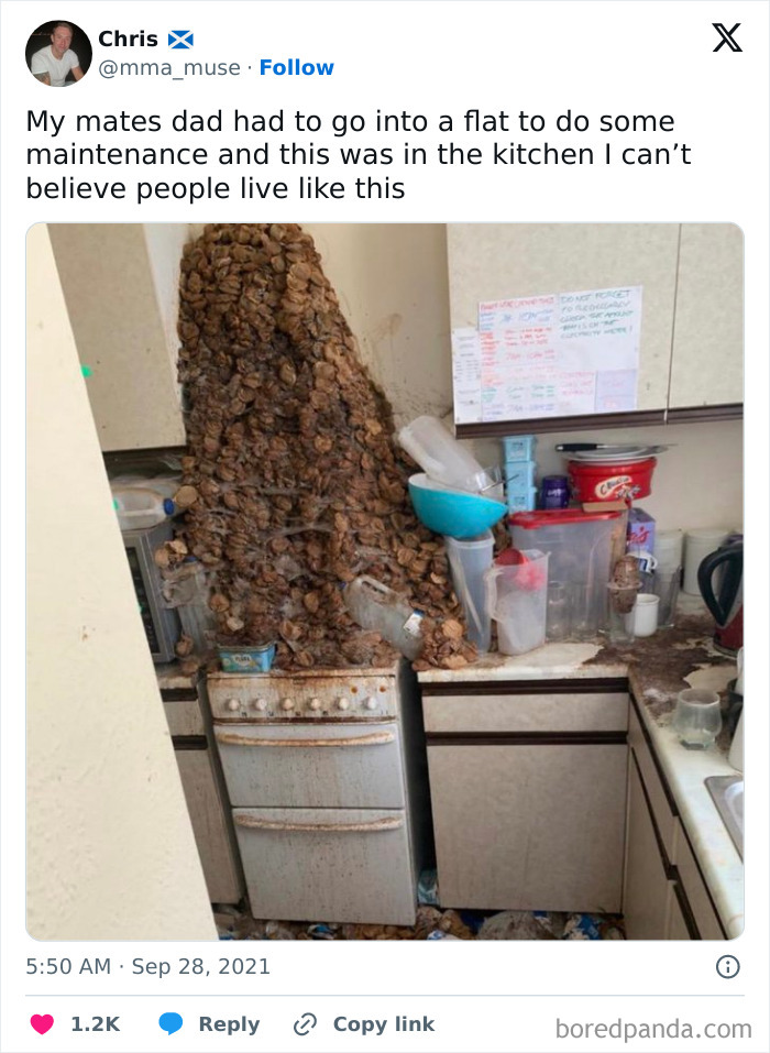 40 Funny Times The UK Was Caught Just Being The UK, As Shared On This Page (New Pics) 40 Funny Times The UK Was Caught Just Being The UK, As Shared On This Page (New Pics)