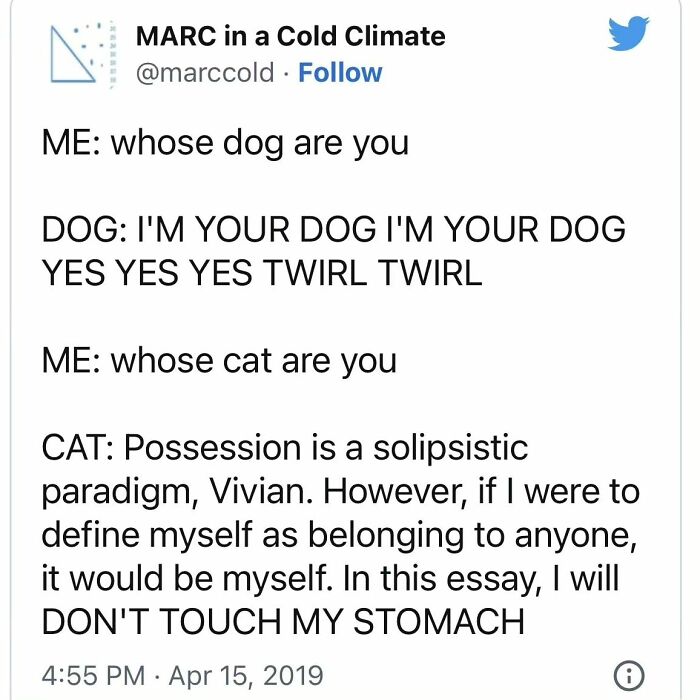 50 Hilariously Relatable Memes From ‘Cheerful Nihilism’ 50 Hilariously Relatable Memes From ‘Cheerful Nihilism’