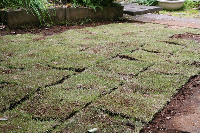 &ldquo;That&rsquo;s Hilarious&rdquo;: Man Returns Home, Has No Idea Where His Entire Lawn Went