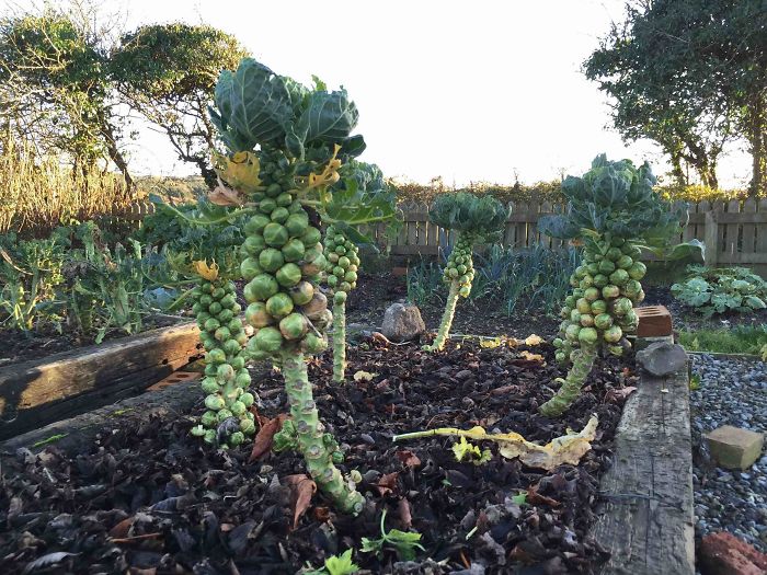 51 Pics That Reveal The Rarely Seen Side Of Common Things