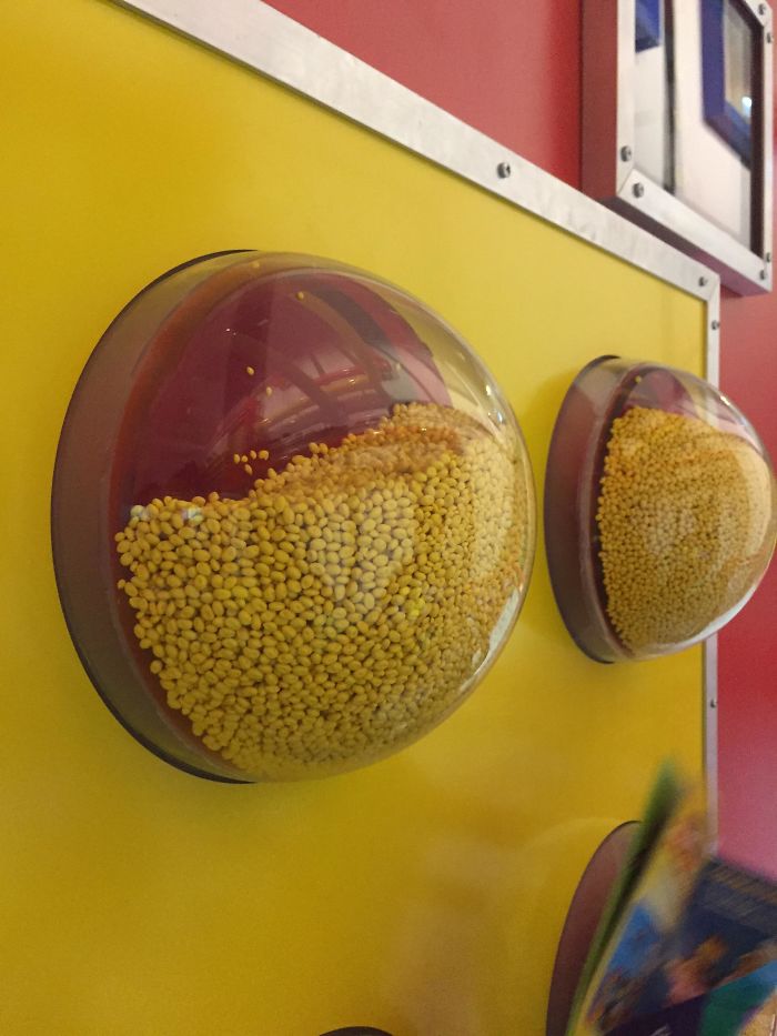 51 Pics That Reveal The Rarely Seen Side Of Common Things